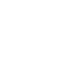 Augmented Instincts